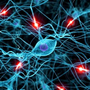 neurosonologia neurosonologia
