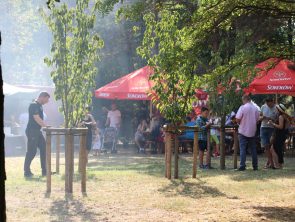 Piknik podczas festynu biała niedziela w mundurze w szpitalu MSWiA w Poznaniu