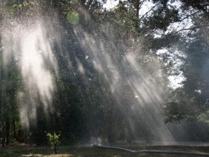 Wąż strażacki i pokaz lania wody