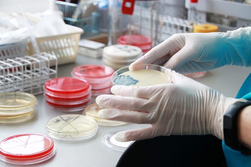 Zdjęcie przedstawia laboranta oraz pojemniki do badań mikrobiologicznych